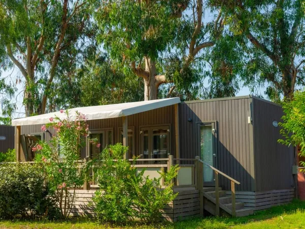 Mobile home Supreme z 2 łazienkami na campingu Roan Arinella Bianca.