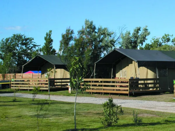 Namiot Lodge Luxe 1