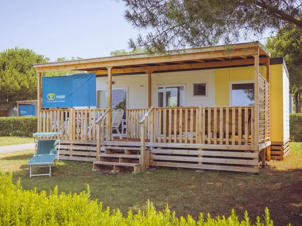 Comfort Plus Lounge od Roan.