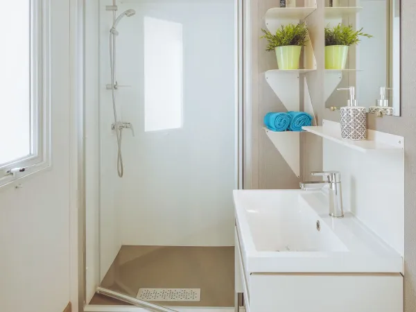 Łazienka Roan Premium Lounge z kabiną prysznicową i umywalką z szafką.