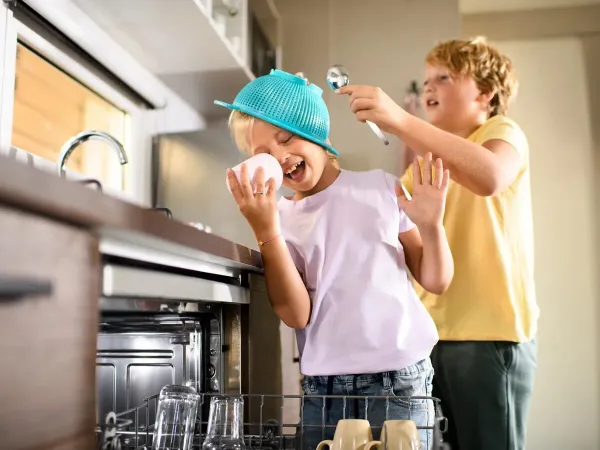 Pokój Roan Comfort Plus Lounge wyposażony jest w zmywarkę do naczyń.