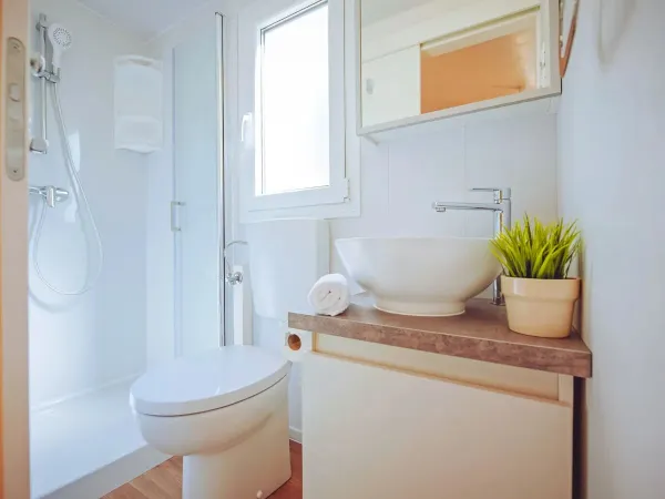 Łazienka z toaletą w salonie Roan Comfort Plus Lounge.