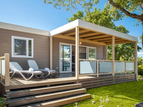 Strefa Roan Premium.