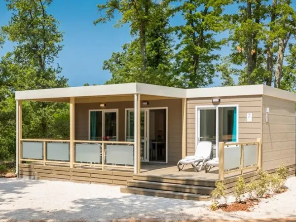 Strefa Roan Premium.