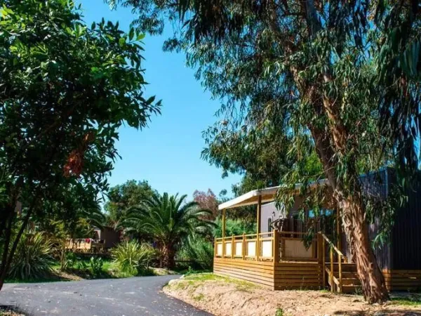 Mobile home Supreme z 2 łazienkami na campingu Roan Arinella Bianca.