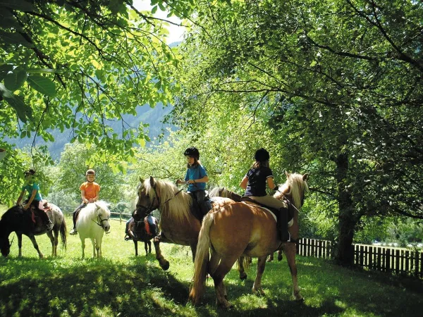 Jazda konna w okolicy na kempingu Roan Bella Austria.