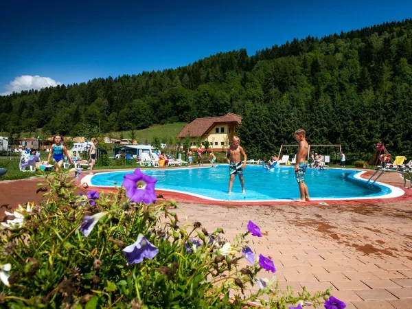 Przegląd basenu na kempingu Roan Bella Austria.