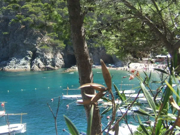 Mała plaża przy skałach w pobliżu kempingu Roan Playa Brava.