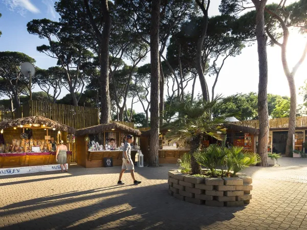 Stragany w Roan camping hu Park Albatros village.