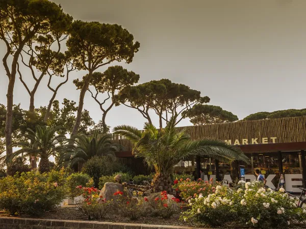 Supermarket w Roan camping hu Park Albatros village.