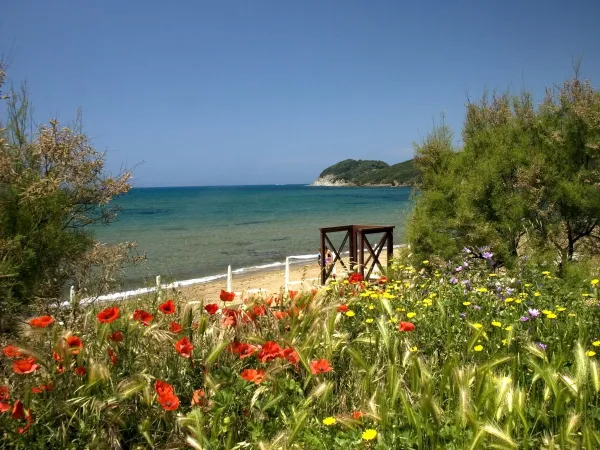 Plaża i morze w pobliżu kempingu Roan Park Albatros.