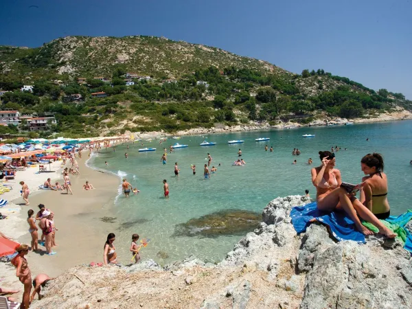 Plaża w pobliżu kempingu Roan Park Albatros.