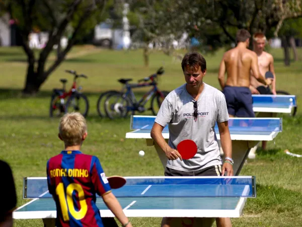 Tenis stołowy na kempingu Roan Pra'delle Torri.