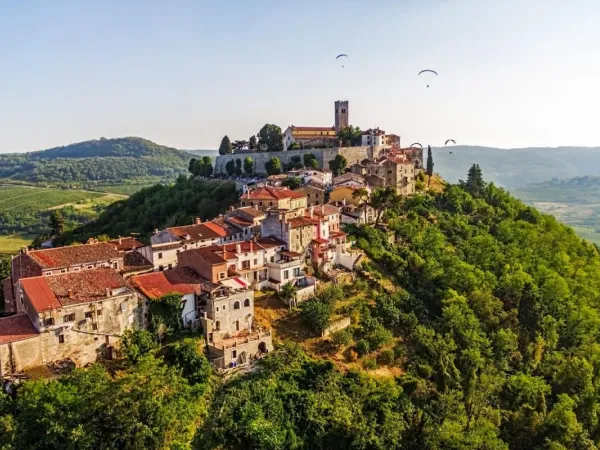 Miejscowość Motovun w Chorwacji w pobliżu kempingu Roan Bi Village.