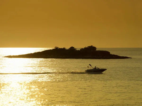 Żeglarstwo w pobliżu kempingu Roan Zelena Laguna.