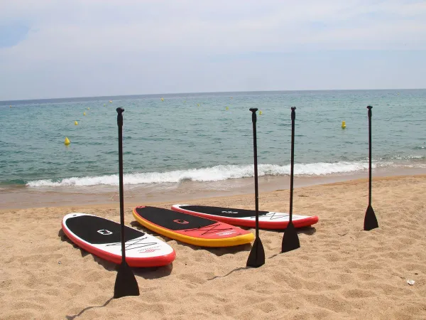 Możliwość uprawiania paddle surfingu na kempingu Roan Bella Terra.