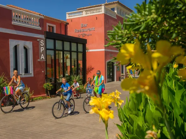 Wypożyczalnia rowerów na kempingu Roan Beach Garden.