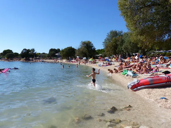 Tętniąca życiem plaża na kempingu Roan w Polari.