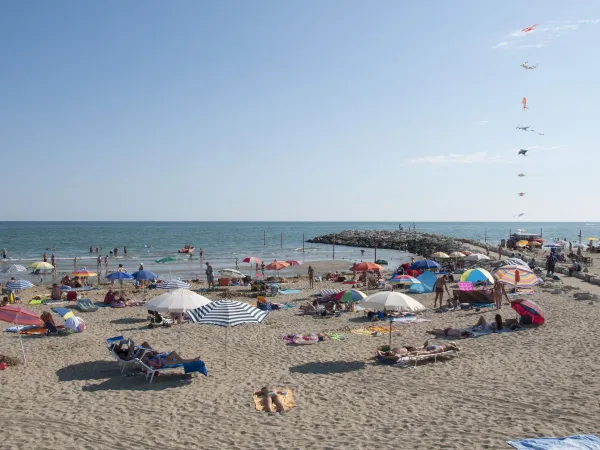 Tętniąca życiem plaża w pobliżu kempingu Roan Sant Angelo.