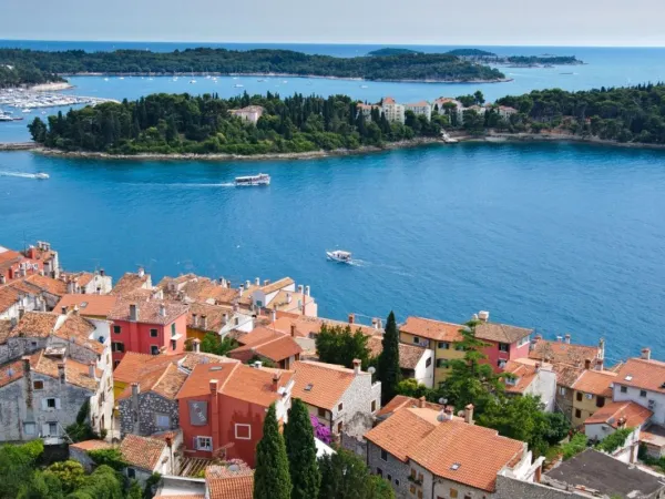 Widok na Rovinj w pobliżu kempingu Roan Vestar.