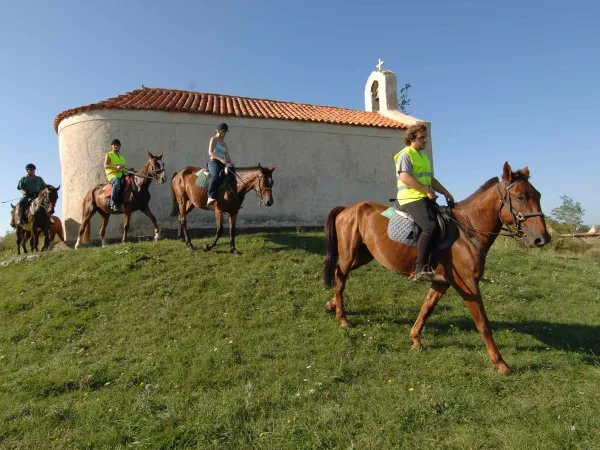 Jazda konna na kempingu Roan w Zaton Holiday Resort.