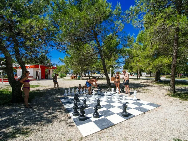 Duży zestaw szachowy na kempingu Roan w Zaton Holiday Resort.