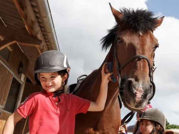 Aktywność kucyków na kempingu Roan des Ormes.