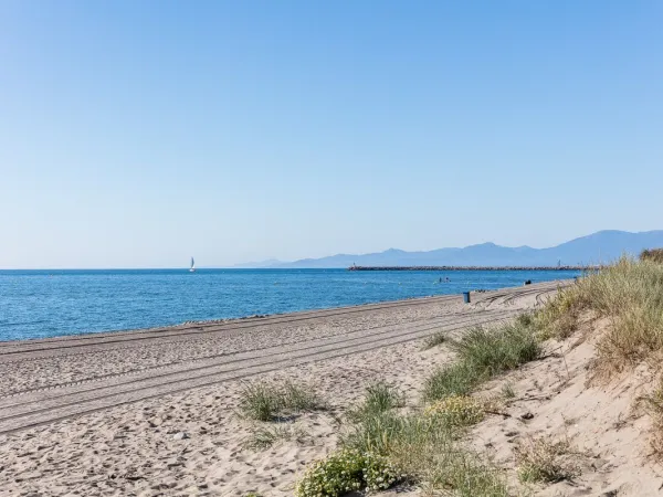 Plaża w pobliżu kempingu Roan de Canet.