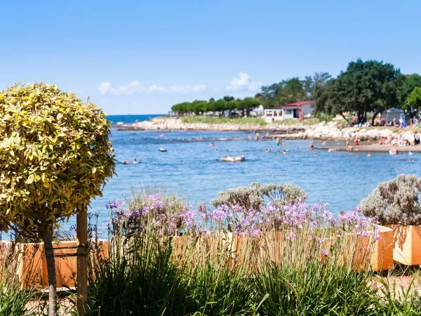 Żwirowa plaża w Roan Camping Park Umag.