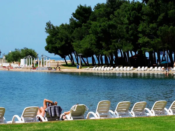 Leżaki na plaży w pobliżu kempingu Roan Stella Maris.