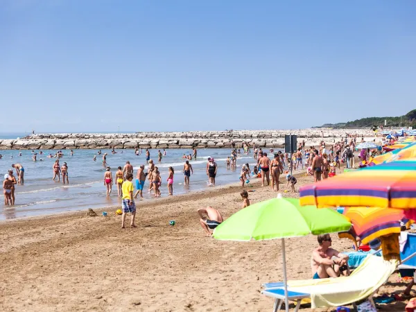 Tętniąca życiem plaża na kempingu Roan w San Francesco.