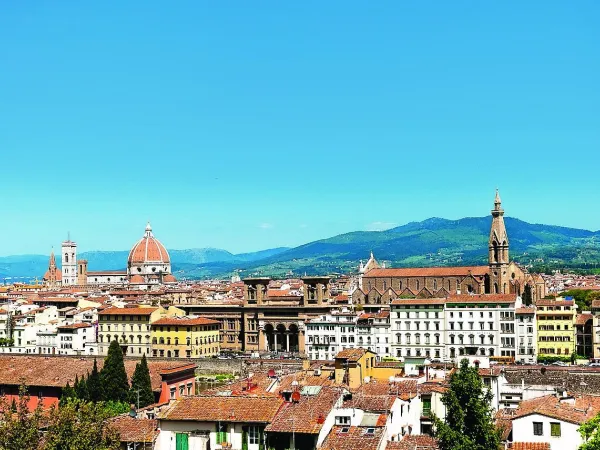 Miasto Siena w pobliżu kempingu Roan Montescudaio.