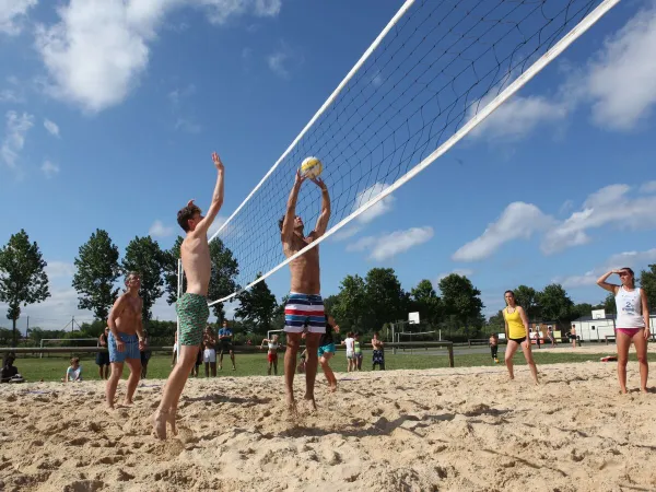 Siatkówka plażowa na kempingu Roan w Le Vieux Port.