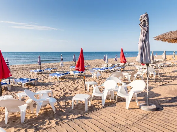 Leżaki na plaży w pobliżu kempingu Roan Les Sablines.