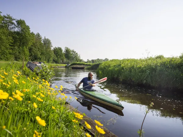 Spływy kajakowe na kempingu Roan Marvilla Parks Friese Meren.