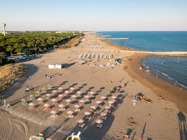 Leżaki na plaży na kempingu Roan Union Lido Mare.