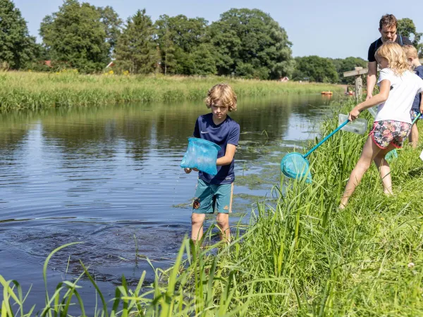 Aktywności w Slinge na kempingu Roan De Twee Bruggen.