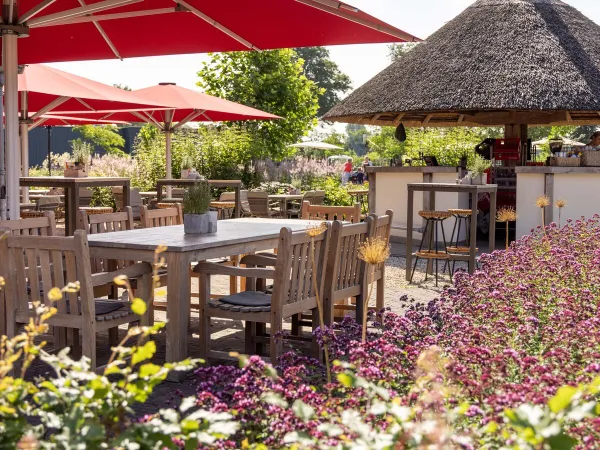 Bar na świeżym powietrzu z tarasem na kempingu Roan De Twee Bruggen.