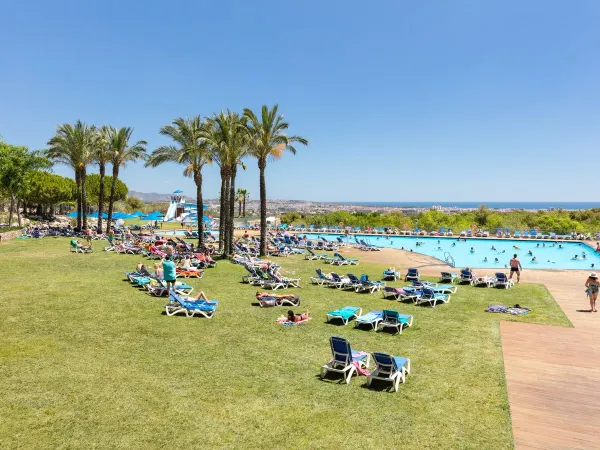 Trawnik na campingu Roan w Vilanova Park.