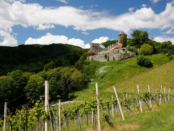 Zamek w pobliżu kempingu Roan Bella Austria.