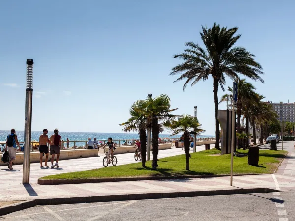 Promenada w Blanes na kempingu Roan El Pinar.