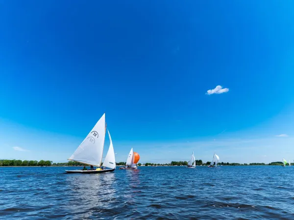 Łódź na jeziorze Slotermeer na kempingu Roan Marvilla Parks Friese Meren.