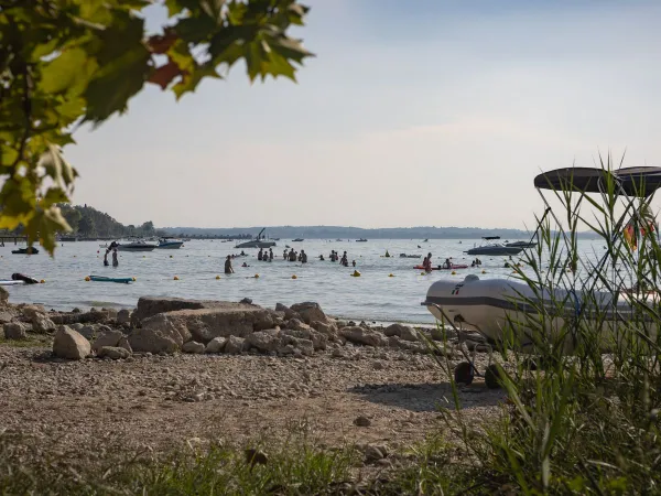 Aktywność na plaży na kempingu Roan Belvedere.