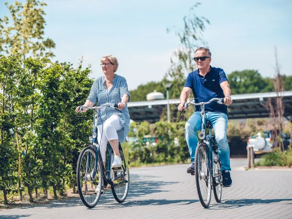 Rowerzyści na kempingu Roan w Ackersate.