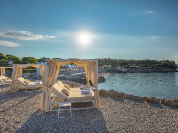 Luksusowe leżaki przy plaży na kempingu Roan Krk Camping Resort.