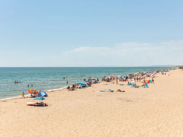 Tętniąca życiem piaszczysta plaża na kempingu Roan Méditerranée Plage.