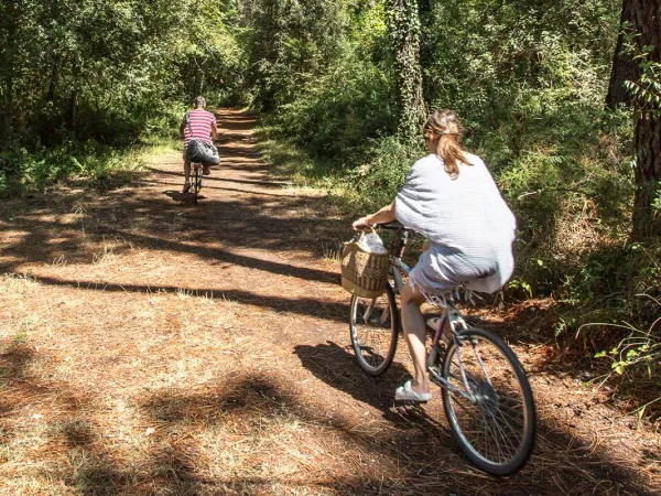 Jazda na rowerze wokół kempingu Roan Sole Family Camping Village.