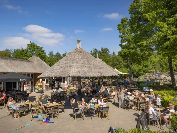 Tętniący życiem taras na kempingu Roan Marvilla Parks Kaatsheuvel.