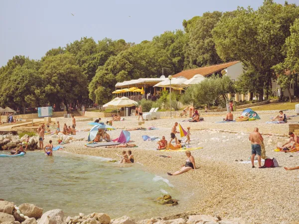 Obraz atmosfery plaży na kempingu Roan Zelena Laguna.