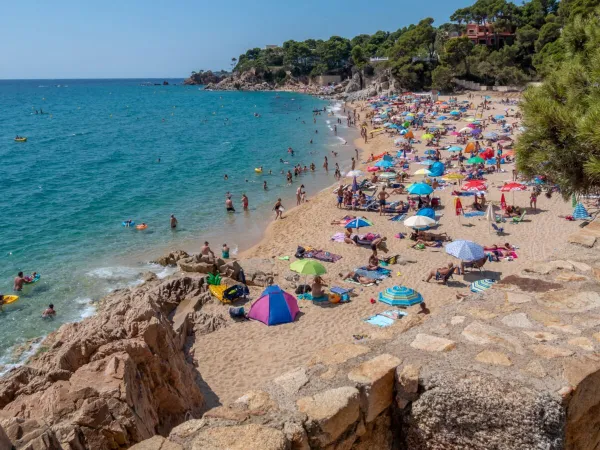 Piaszczysta plaża na międzynarodowym kempingu Roan de Calonge.